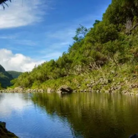 Enzo Апартаменты Фуншал