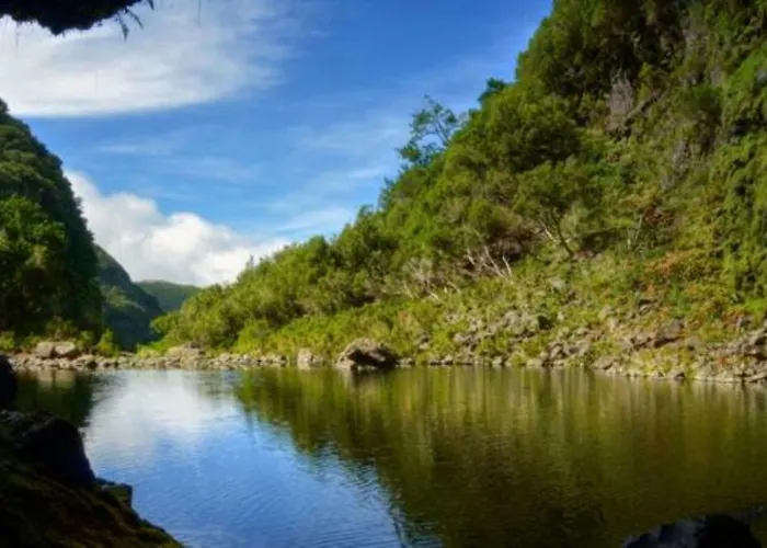 Enzo 公寓 丰沙尔